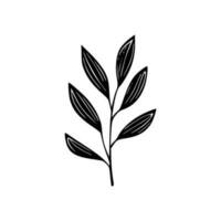 Minimalist branch with leaves icon vector