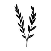 Minimalist branch with leaves icon vector