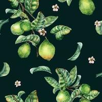 Branch of tree and single guava fruit watercolor seamless pattern isolated on black background. Green leaves, flowers of guajava hand drawn. Design for wrapping, packaging, fabric, paper, textile vector