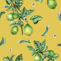 Branch of tree and single guava fruit watercolor seamless pattern isolated on yellow background. Green leaves, flowers of guajava hand drawn. Design for wrapping, packaging, fabric, paper, textile vector