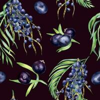 Bunch acai berries and palm leaves watercolor seamless pattern isolated on dark. Exotic amazon purple berries, tropical fruit hand drawn. Design element for wrapping, textile, background, paper vector