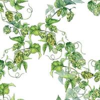 Hop vine, plant humulus watercolor seamless pattern isolated on white background. Hop on brunch with leaves, hop cones hand drawn. Design element for wrapping, label, packaging, paper, textile vector