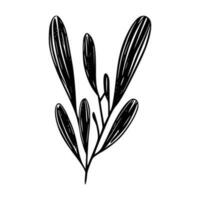 minimalista rama con hojas icono vector