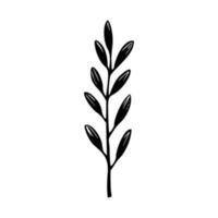 Minimalist branch with leaves icon vector