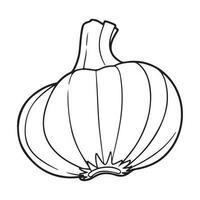 garlic bulb, garlic icon, vegetable for cooking and seasoning vector