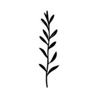 Minimalist branch with leaves icon vector