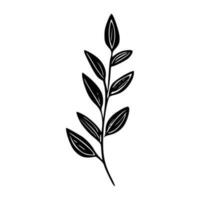 Minimalist branch with leaves icon vector