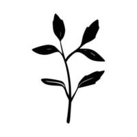 Minimalist branch with leaves icon vector