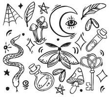 vector drawing, set of elements on the theme of magic, witchcraft. vintage drawing for halloween