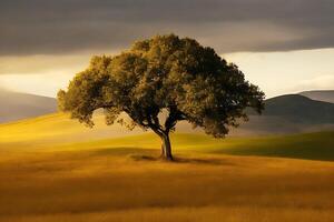 gratis solitario árbol. ai generado foto