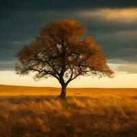 Free Lone tree. ai generated photo