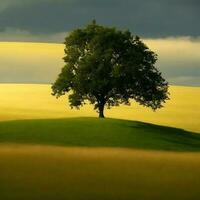 Free Lone tree. ai generated photo