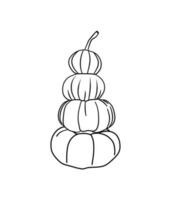 fall pumpkin line art autumn vector illustration