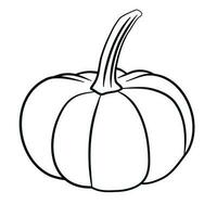 fall pumpkin line art autumn vector illustration