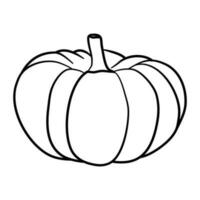 fall pumpkin line art autumn vector illustration