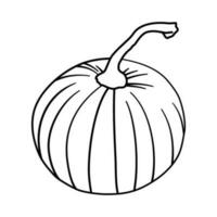 fall pumpkin line art autumn vector illustration