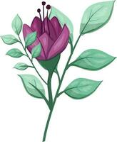 Illustration of a Purple Flower with Green Leaves on a White Background vector