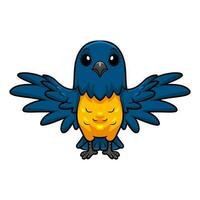 linda thraupidae negro y oro Tangara pájaro dibujos animados vector