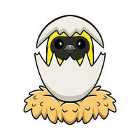 Cute weaver bird cartoon inside from egg vector