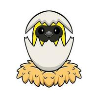 Cute weaver bird cartoon inside from egg vector