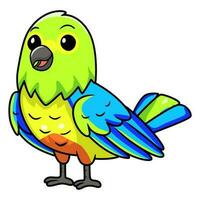 Cute orange bellied parrot cartoon vector