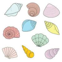 Set of different sea shells isolated on white background. Hand drawn colorful vector illustration. Flat cartoon style. Summer vacation collection, tropical beach shells