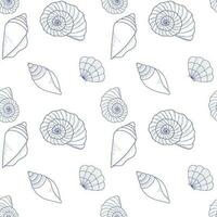 Seamless vector pattern on the marine theme. Various seashells with a blue line on a white background