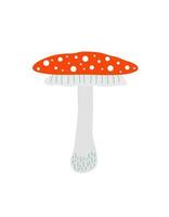 Mushroom red with white dots, fly agaric seasonal Halloween vector illustration of inedible witch mushrooms autumn holidays simple minimalist hand drawn doodle style drawing