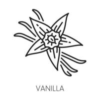 Vanilla flavoring, cinnamon sticks, orchids flower vector