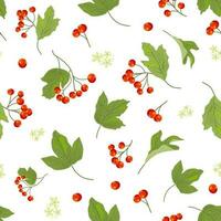 Guelder rose or viburnum vector seamless pattern. Berries, flowers and leaves are on a white background.