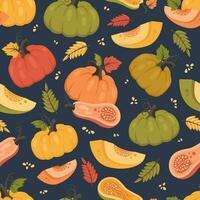 calabaza sin costura modelo. otoño antecedentes con todo calabaza y medio, hojas, semillas.accion de gracias día. estacional cosecha. vector ilustración para fondos de pantalla, textil, cuadernos, envase papel, imprimir