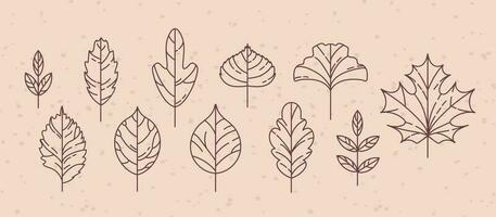 Set of vintage autumn leaf icons. Maple and rowan, ginkgo biloba, Codiaeum, lilac, linden and oak, elm and poplar. Doodle style. For stickers, web design, postcards vector