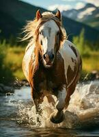 un salvaje caballo corriendo en el arroyo. salvaje o granja animales concepto por ai generado foto