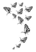 Butterfly silhouette. Clipart vector isolated on white background