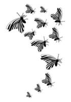 Butterfly silhouette. Clipart vector isolated on white background