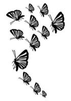 Butterfly silhouette. Clipart vector isolated on white background