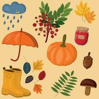 Autumn set of cute and cozy design elements, rubber boots, leaves, autumn mood, rowan, pumpkin, raspberry jam. Color flat vector illustration