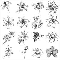 Vector-hand drawn flowers. vector