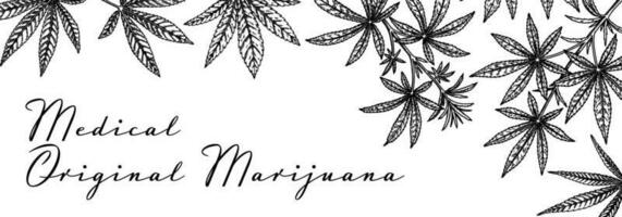 canabis horizontal diseño para embalaje, social medios de comunicación publicaciones, Tienda decoración, marca, certificados marijuana vector ilustración en bosquejo estilo. cáñamo grabado antecedentes