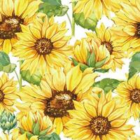 Elegant floral Seamless pattern with watercolor sunflowers and greenery vector