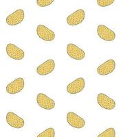 Vector seamless pattern of hand drawn potato