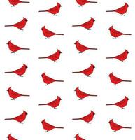 Vector seamless pattern of red cardinal bird
