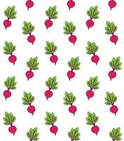 Vector seamless pattern of beet root