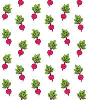 Vector seamless pattern of beet root