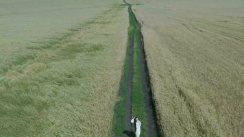 an aerial view of a person walking through a field video