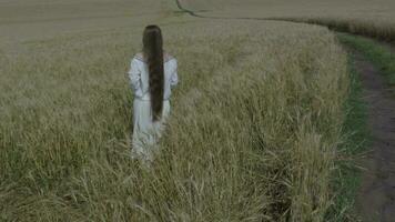 an aerial view of a person walking through a field video