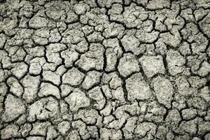 black and white photo of mud cracks