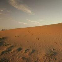 arena dunas en pampa, argentina foto