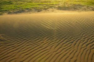 arena dunas en pampa, argentina foto