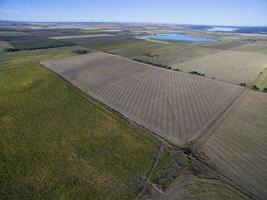 Cultivated land, aerial view, La Pampa, Argentina photo